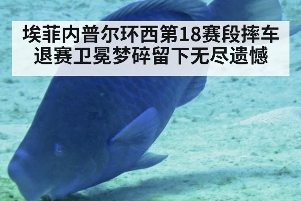 埃菲内普尔环西第18赛段摔车退赛卫冕梦碎留下无尽遗憾