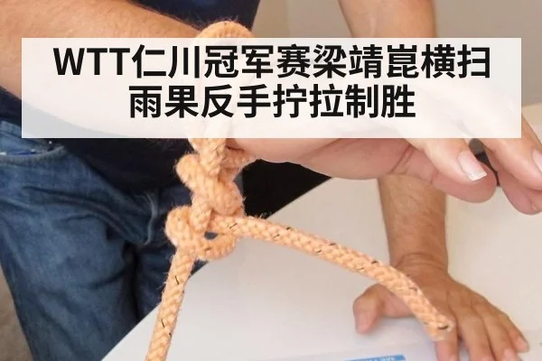 WTT仁川冠军赛梁靖崑横扫雨果反手拧拉制胜